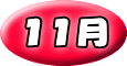 １１月